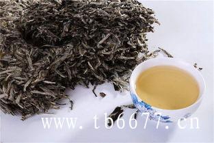 泡白茶的茶具介绍