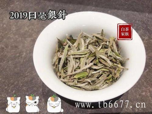 白茶饼茶汤品饮方式