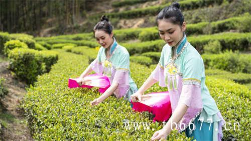 茶饮料中为何加碳酸氢钠