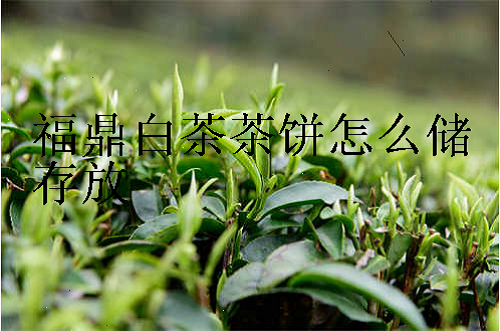 福鼎白茶茶饼怎么储存放